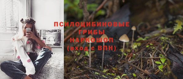 не бодяженный Сосновоборск