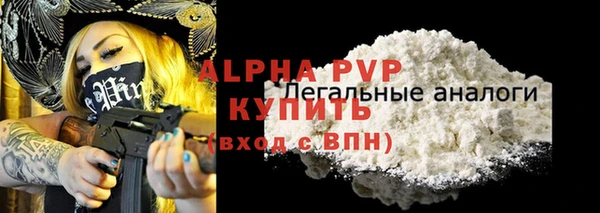 ECSTASY Ельня